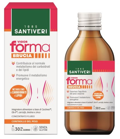 VIGOR FORMA BRUCIA 240ML SANTI