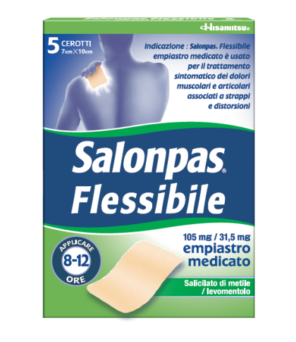 SALONPAS FLESSIBILE*5CER7x10CM