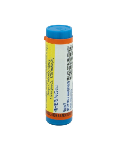 ARNICA MONTANA*200CH GL 1G