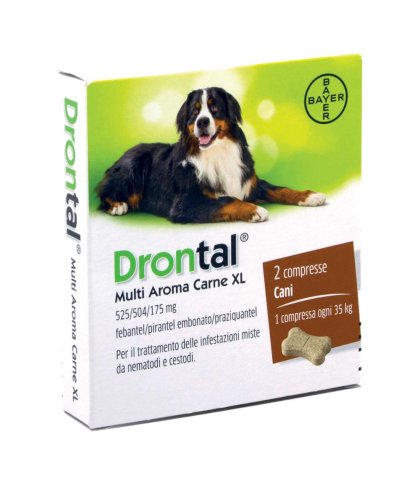 DRONTAL MULTI AR CARNE XL*2CPR