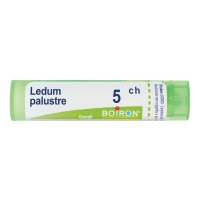 LEDUM PALUSTRE 5CH GR