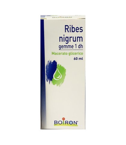 RIBES NIGRUM GEMME 60ML MG