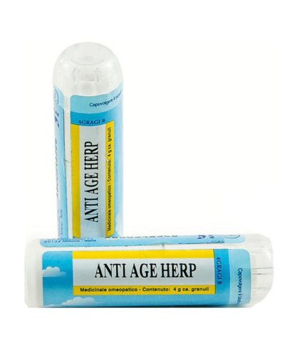 ANTIAGE HERP GR 4G