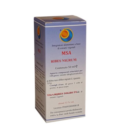 MSA RIBES NIGRUM 50ML