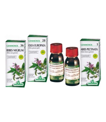 RIBES NIGRUM MG 100ML SPECCHIA