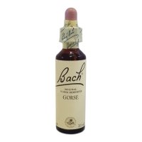 BACH CENTER ESS GORSE 20ML