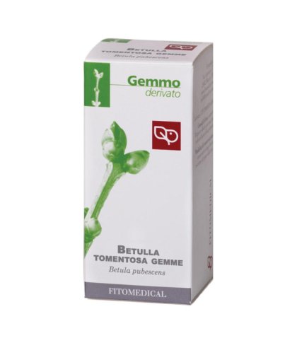 BETULLA PUBESCENS 50ML MG