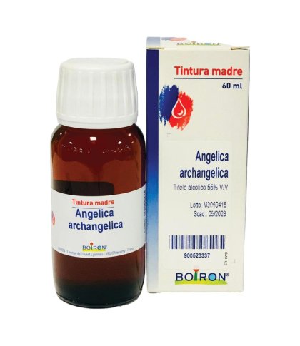 ANGELICA ARCANGELICA 60ML TM