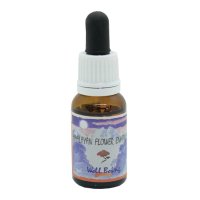 WELL BEING ESS 15ML NAT.SPIR