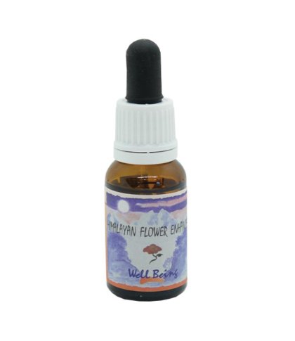 WELL BEING ESS 15ML NAT.SPIR