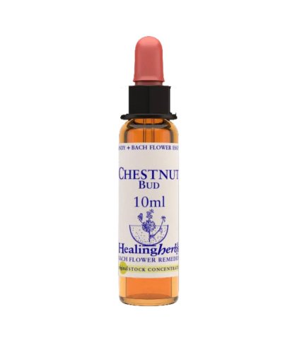 CHESTNUT BUD ESS 10ML INGL HER