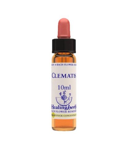 CLEMATIS ESS 10ML INGL HERBS