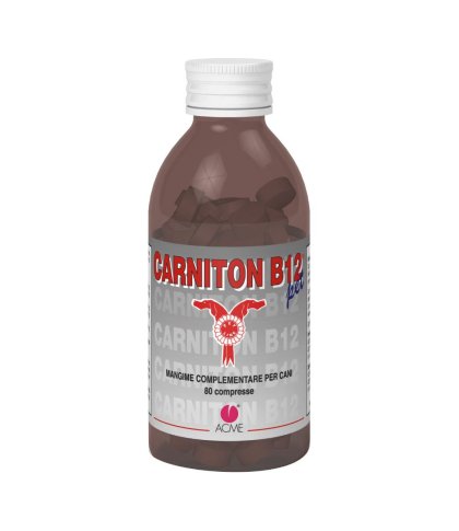 CARNITON B12 PET*80 CPR 1 G