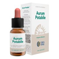 AURUM POTABILE ECOSOL GTT 10ML