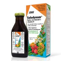 SALUDYNAN TON 250ML SALUS