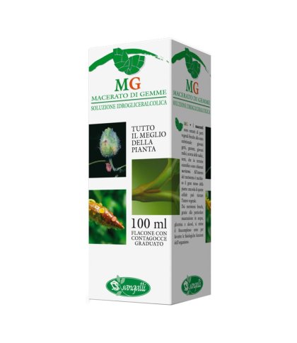 MIRTILLO RO 100ML MG