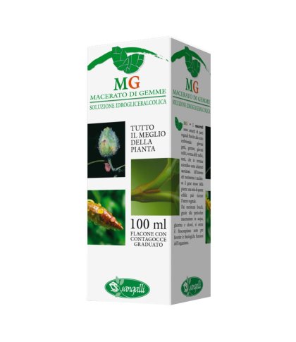 NOCE 100ML MG