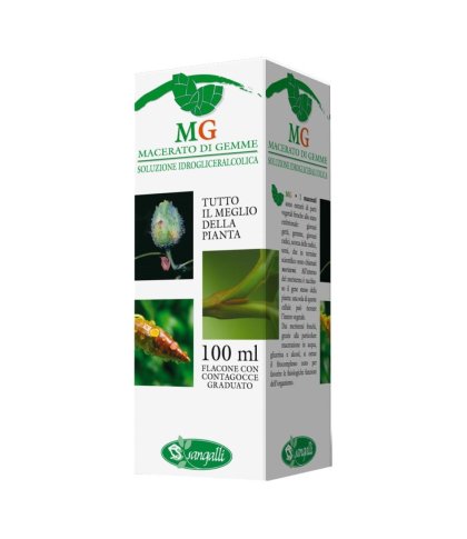 RIBES 100ML MG