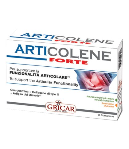 ARTICOLENE FT INTEGRAT 60TAV