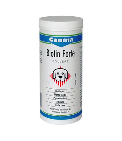 BIOTIN FORTE POLV 100G