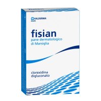 FISIAN*PANE DERMATOL 100G