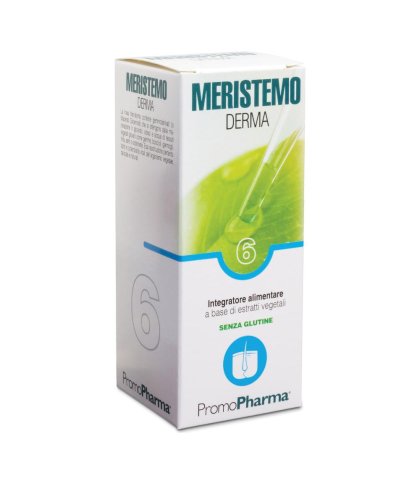 MERISTEMO INKAS 6 100ML