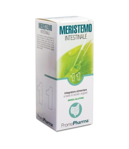 MERISTEMO INKAS 11 100ML