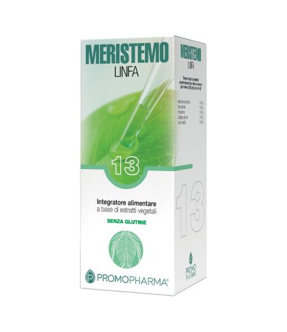 MERISTEMO INKAS 13 100ML