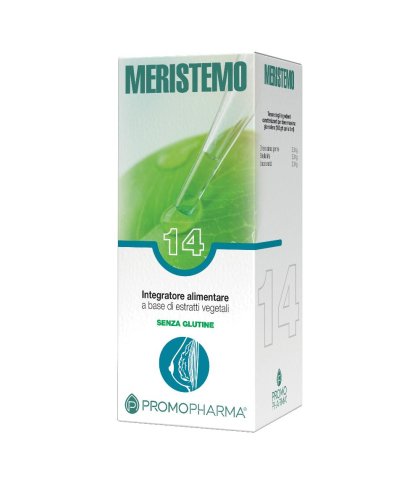 MERISTEMO INKAS 14 100ML