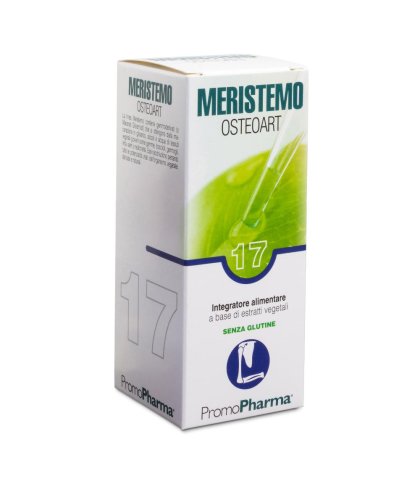 MERISTEMO INKAS 17 100ML