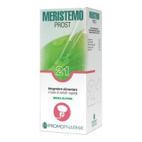 MERISTEMO INKAS 21 100ML