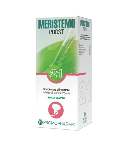 MERISTEMO INKAS 21 100ML