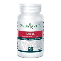 CAIGUA 60CPS 400MG  ERBAVITA