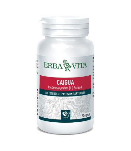 CAIGUA 60CPS 400MG  ERBAVITA