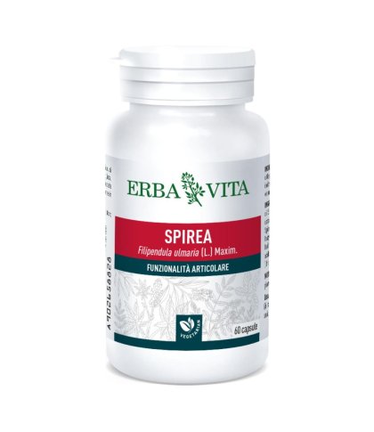 SPIREA ULMARIA 60CPS 400MG