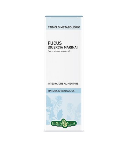 FUCUS TALLO SOL IAL 50ML