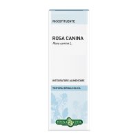 ROSA CANINA BAC SOL IAL 50ML