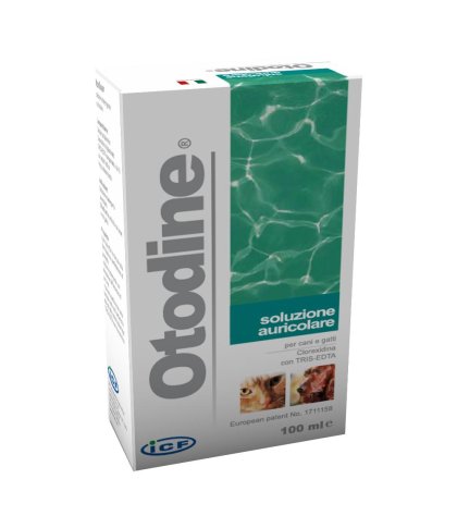 OTODINE DET LIQ 100ML