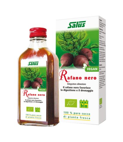 RAFANO NE SUCCO S/ALC 200ML