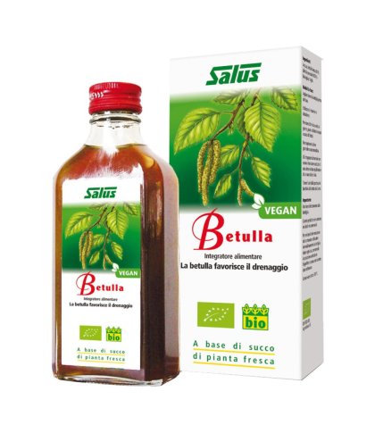 BETULLA SUCCO S/ALC 200ML