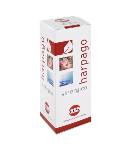 HARPAGO SINERGICO GTT 100ML KO