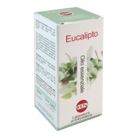 EUCALIPTO OLIO ESS 20ML