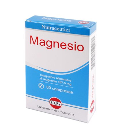 MAGNESIO 60CPR