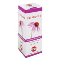 ECHINACEA SOL IAL PIANTA FR100