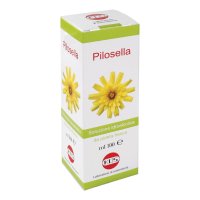 PILOSELLA SOL IAL PIANTA FR100