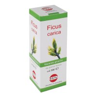 FICUS CARICA MG 100ML GTT