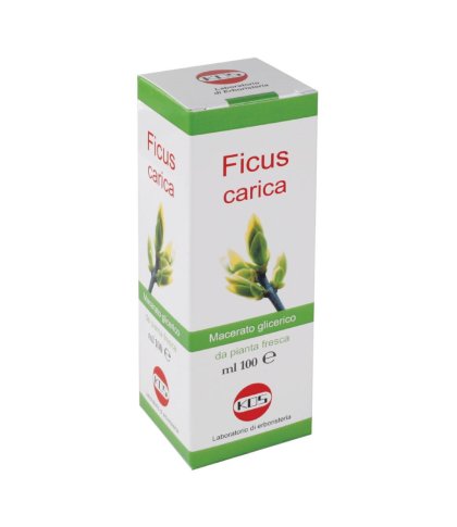 FICUS CARICA MG 100ML GTT