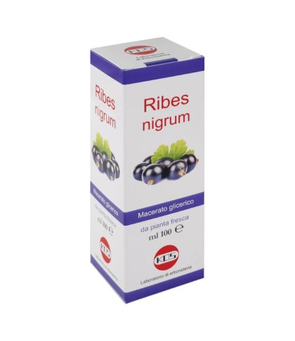 RIBES NIGRUM MG 100ML GTT