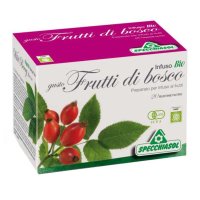 INFUSO FRUTTA BOSCO 20BS