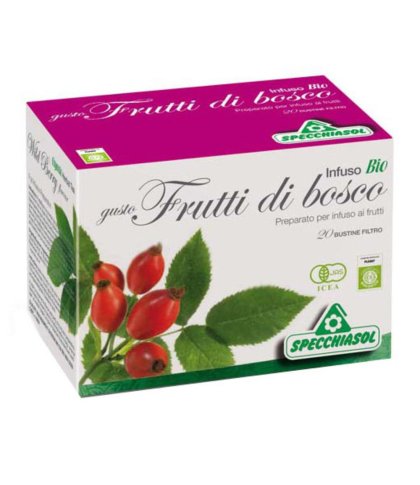 INFUSO FRUTTA BOSCO 20BS